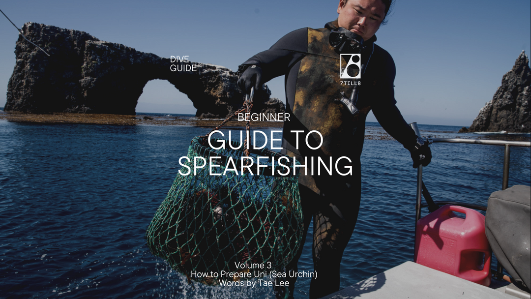 7TILL8's Beginner's Guide to Spearfishing Vol 3 How To Prepare Uni 7TILL8 Wetsuits