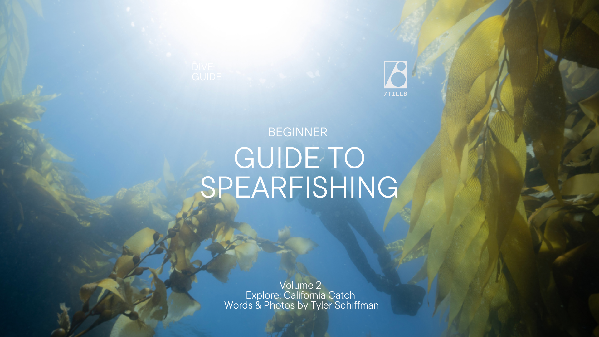 7TILL8's Beginner's Guide to Spearfishing - Vol 2 - Exploring California Catch